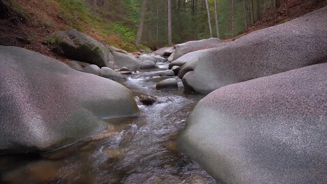 森の花崗岩の間を縫う小川 シームレスループ動画背景 16:9 4K