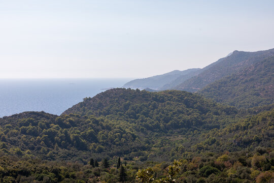 A hilly, wooded landscape on Mljet Island, featuring lush Mediterranean vegetation, layered hills, and a peaceful natural setting.