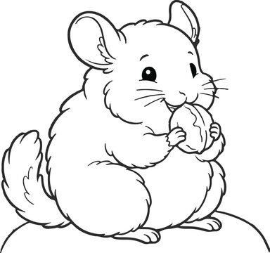Charming sketch of a chinchilla enjoying a tasty treat in a simple line drawing
