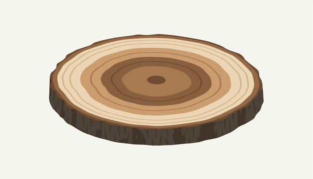 Isometric vector illustration of a clean cut round wood slice displaying distinct growth rings and textured bark.