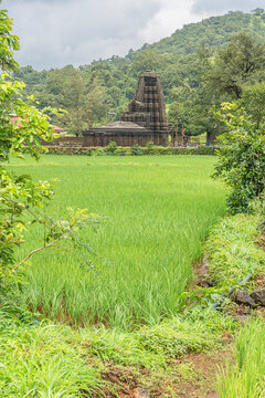 Amruteshwar temple, intricately carved Shiva temple, 1200 years old and was built by the rulers of Shilahara dynasty in the 9th century CE. Ratanwadi, Bhandardara, Maharashtra, India