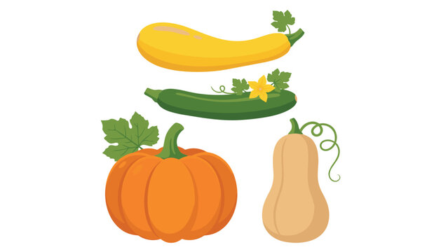 Collection of flat pumpkin and squash vector icons isolated on white background for autumn food designs