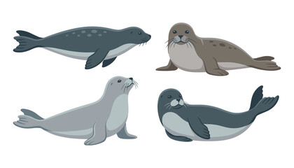 Collection of flat vector seal characters isolated on white background for cute marine wildlife illustration designs © Sakouat