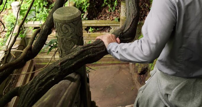 Tourist man in gray shirt descending ancient stone stairs at Xishan Forest Park. He places hand on thick gnarled tree branch hanging across path, using it as natural railing for support.