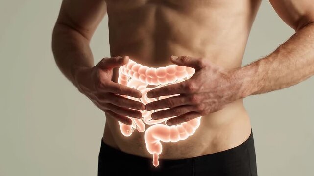 Hands trace a digestive system graphic over a human abdomen. Medical anatomy sequence illustrating intestinal function and gut health.