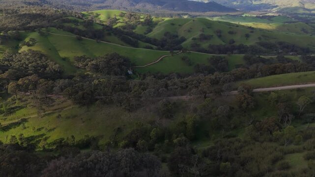Aerial view orbiting clockwise right over green rolling hills and countryside landscape at Milky Point.