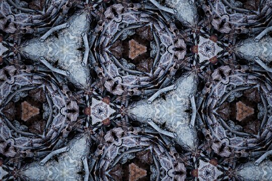 frost pattern image02
