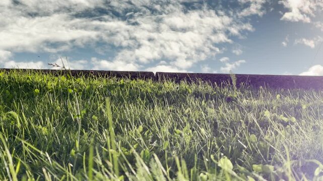 Green grass grows brightly on a sunny hill in Saint Petersburg. Fluffy clouds float across the blue sky above. The serene view brings a peaceful and calm feeling.