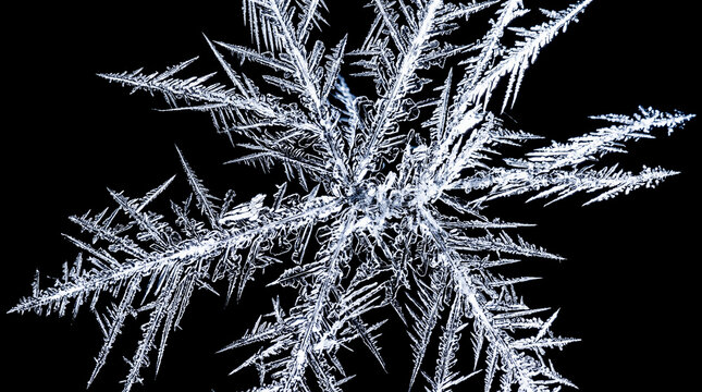 Detailed symmetrical snowflake forming complex branch patterns against black background during extreme winter weather revealing fragile crystal structure macro photography cold environment art