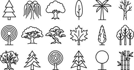 Fototapeta premium Forest trees and botanical nature vector icons set featuring pine palm bamboo bonsai maple oak foliage and monochrome line art