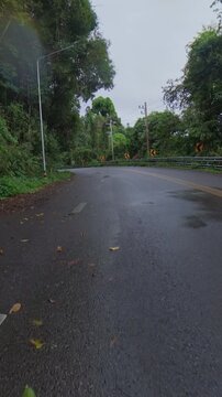 Wet winding road through lush tropical forest after rain, with reflective pavement, curve warning signs and guardrails creating a scenic countryside travel scene.