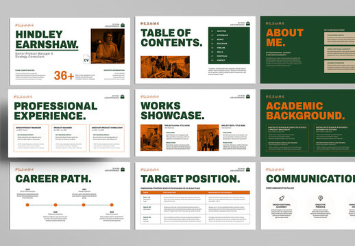 Professional Resume Portfolio Presentation
