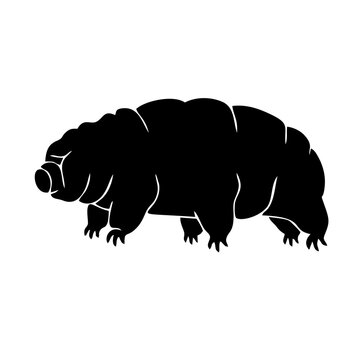 Tardigrade Water Bear Microorganism Creature Logo