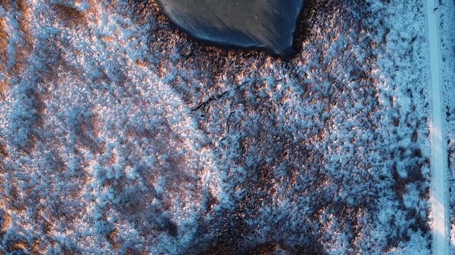 Snow-covered wetland vegetation at Ega Engso lake wetland near Aarhus, Denmark in winter, aerial top-down textured backdrop