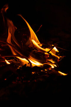 Close up view of a small campfire with bright orange and yellow flames burning twigs amidst the darkness. A small, blazing campfire set against a dark background.