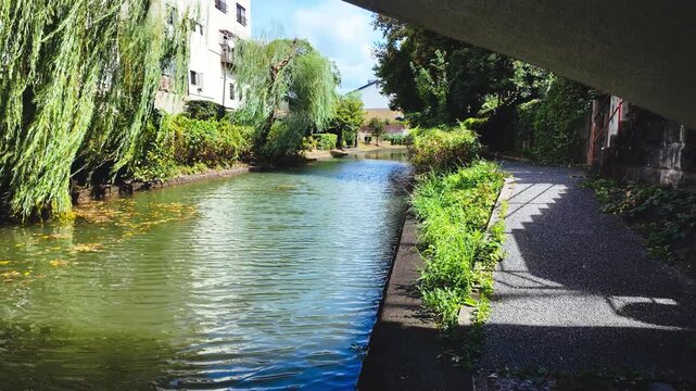 京都の十石舟でめぐる宇治川