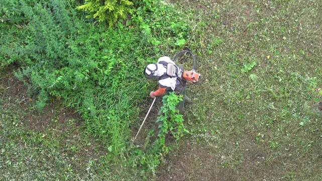 Gardener cuts grass with string trimmer in garden, weeds flying outdoor maintenance underway.