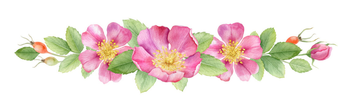 Wild rose flowers, bud, berries and leaves watercolor garland. Pink rosehip floral bouquet. Botanical horizontal divider of briar, blooming dog rose for invites, wedding card, packaging cosmetic