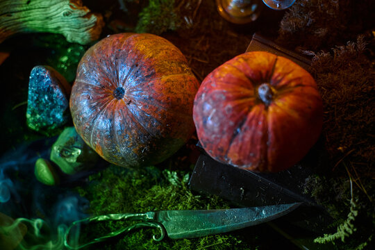 Orange mottled pumpkins sit on moss and a dark book beside an ornate knife in an overhead fantasy tabletop photograph with colored light for autumn decoration themes