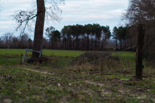 Paysages ruraux sous un temps gris et brumeux