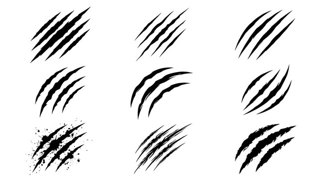 Set of black claw scratch marks on white background