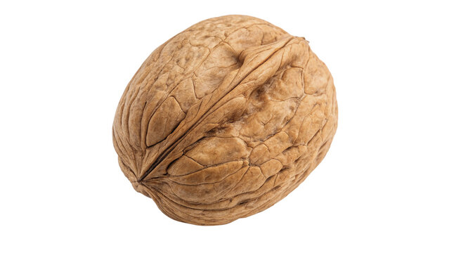 Single whole raw organic walnut in shell crop isolated on transparent background