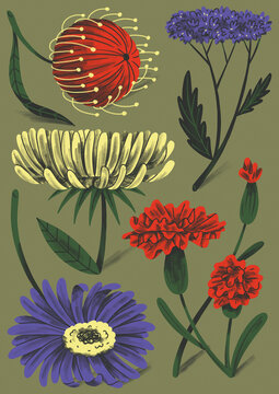 Variety of red, yellow, and purple flowers on green background