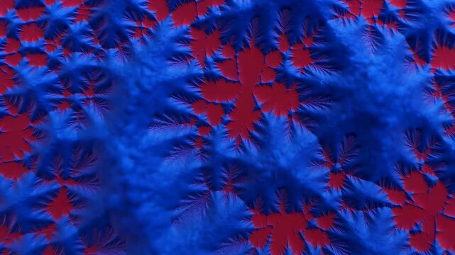 Blue fractal shapes morph and expand over a red background with flowing organic branching patterns. Glowing motion background with fractal geometry and organic growth.