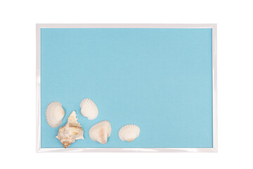 A white frame with a light blue background holds several seashells © Sergio Delle Vedove