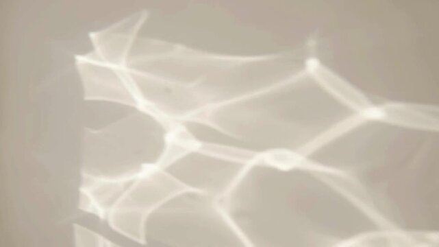 Abstract light reflections creating a soft organic pattern on a neutral background.