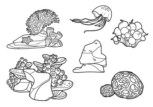 Sea life and objects sandstone on which corals and sea sponge grow and starfish lies, jellyfish and other line art