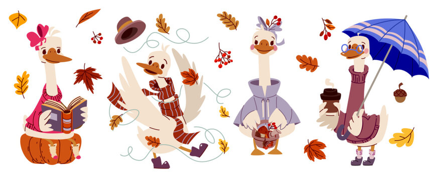 Cute cartoon goose wearing fall outfit surrounded by orange leaves, berries, pumpkin and acorns. Seasonal autumn geese art collection. Duck with umbrella, book and basket, vector set on background.