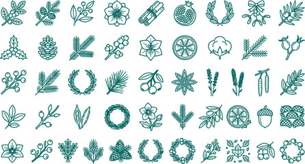 Fototapeta premium Foraged winter botanical branches flora leaves berries line art icons collection for natural Christmas decorations