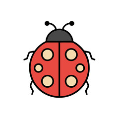 Illustration of a ladybug © riyullo