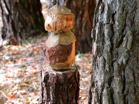 petite sculpture sur ce bout de bois