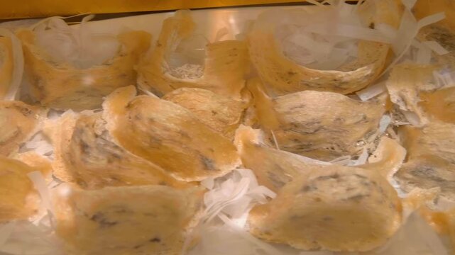 A close-up of golden or yellow variety of edible bird's nests made from the solidified saliva of swiftlet birds highly prized in Chinese and Vietnamese cuisines and known for health benefits
