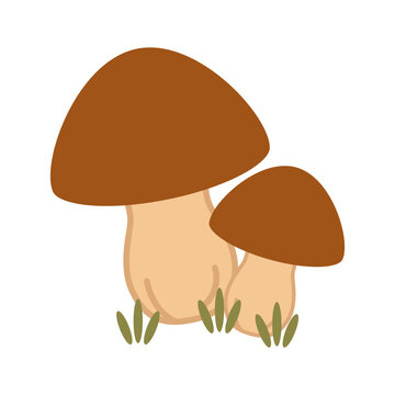 A cute flat vector illustration of two brown porcini mushrooms growing in green grass, isolated on a white background. Perfect for autumn designs and nature projects.