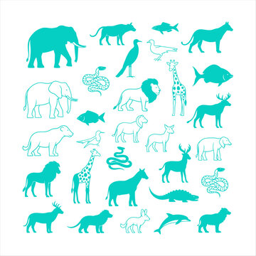 Colorful animal icons set in turquoise and white