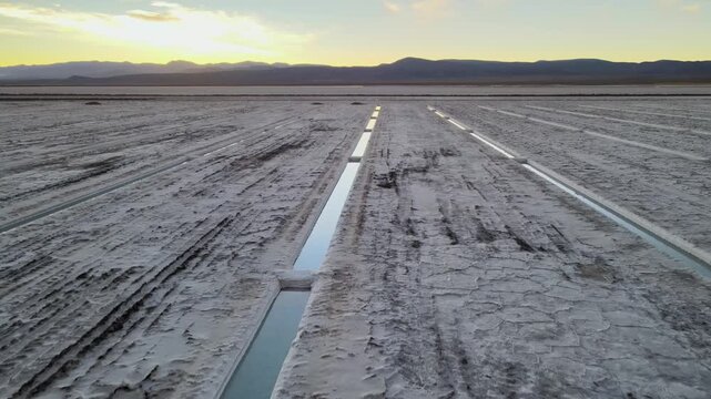 Shallow straight brine trenches cut across the cracked Salinas Grandes salt flat at sunrise with distant Andes mountains forming a dark horizon line.