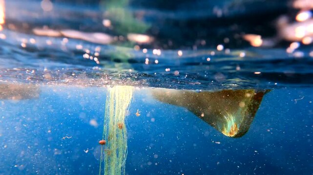 Fishing net is pulled underwater toward a boat through blue water in a working harvest scene.