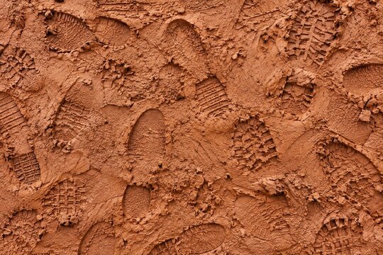Footprints on Mud Background. Footprints Background.