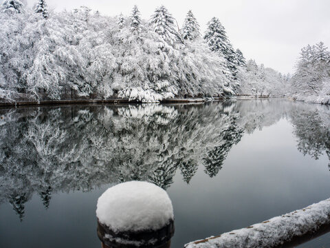 雪化粧した雲場池と雪積もる柵越しの冬景色