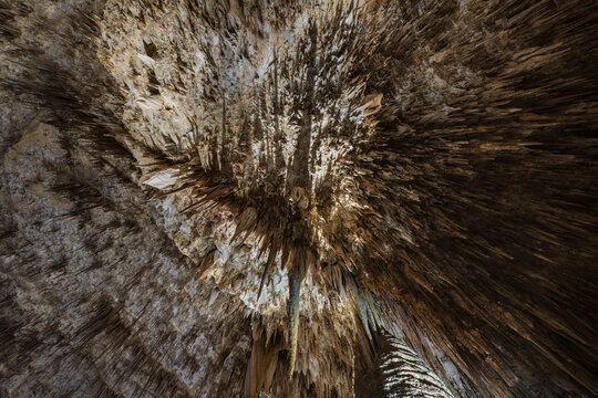 Stalactites inside carlsbad caverns