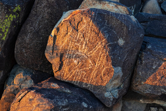 Petroglyphs carved in rock at Sunset in New Mexico desert