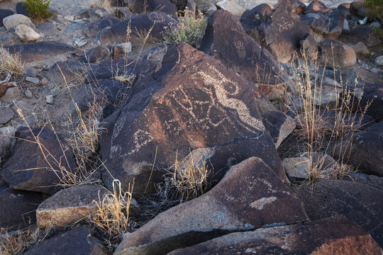 Petroglyphs carved into weathered boulders
