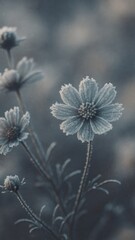 Obraz premium Frosted flowers in winter mobile wallpaper