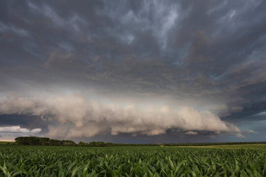 Supercell storm clouds over cornfield in waterville, kansas