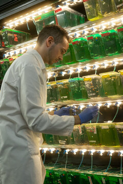 Scientist collecting samples from aquatic containers