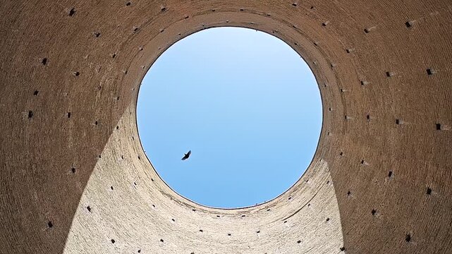Birds fly through Tughrul Tower in slow motion, framed by a circular opening.