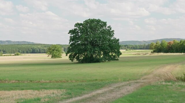 An unrecognizable man is riding a scooter through the fields in a rural area